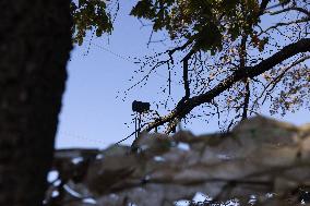 Ukrainian Unit Of Attack UAVs On The Frontline