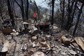 Forest Fire In Quito