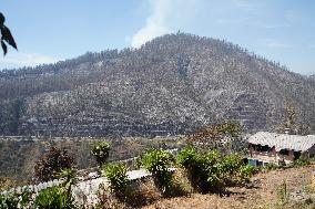 Forest Fire In Quito