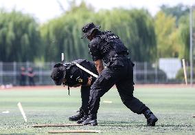 SWAT Drill in Linyi