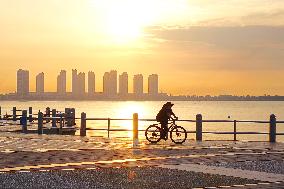 Commercial Buildings in Qingdao