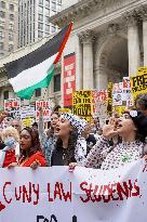 Protesters rally against Israel in New York