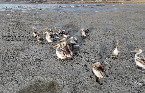 Lake Kulu Drying - Turkey