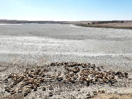 Lake Kulu Drying - Turkey