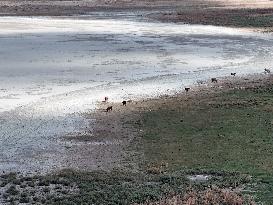 Lake Kulu Drying - Turkey