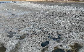 Lake Kulu Drying - Turkey