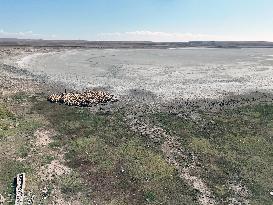 Lake Kulu Drying - Turkey