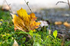 Colours of the fall