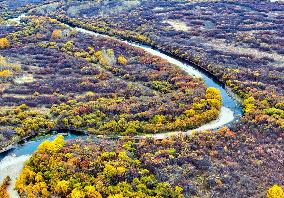 Erguna Wetland Scenery in Hulunbuir