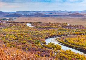 Erguna Wetland Scenery in Hulunbuir