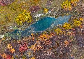 Erguna Wetland Scenery in Hulunbuir