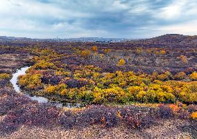 Erguna Wetland Scenery in Hulunbuir