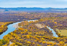 Erguna Wetland Scenery in Hulunbuir