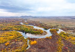 Erguna Wetland Scenery in Hulunbuir