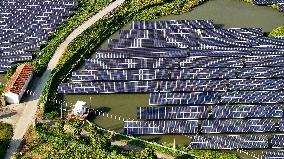 Fishery-Solar Hybrid Project