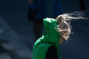 Windy Day In Cologne