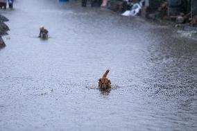 Heavy Monsoon Rain Impacts Daily Life Of Nepal