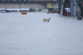 Heavy Monsoon Rain Impacts Daily Life Of Nepal