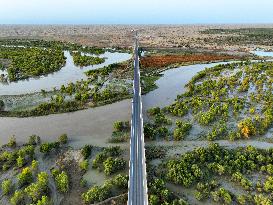 Desert Highway in Xinjiang