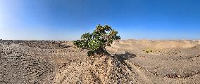 Desert Highway in Xinjiang