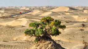 Desert Highway in Xinjiang