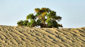 Desert Highway in Xinjiang