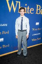 Lionsgate's "White Bird" New York Screening