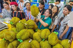 21st China-Asean Expo Public Open Day