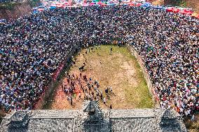 Bullfight in Congjiang