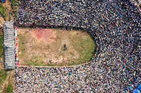 Bullfight in Congjiang