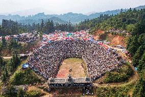 Bullfight in Congjiang