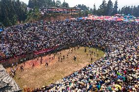 Bullfight in Congjiang