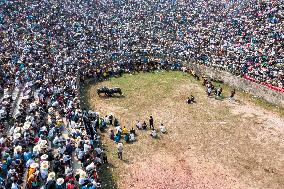 Bullfight in Congjiang