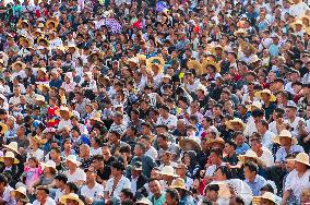 Bullfight in Congjiang