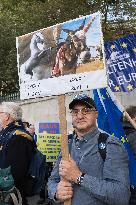 National Rejoin March In London