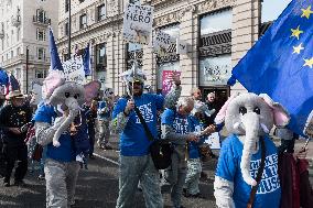 National Rejoin March In London