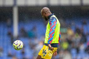 Everton FC v Crystal Palace FC - Premier League