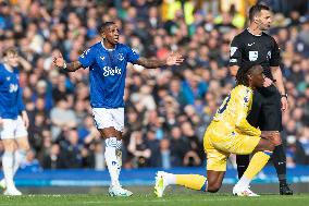 Everton FC v Crystal Palace FC - Premier League