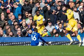 Everton FC v Crystal Palace FC - Premier League