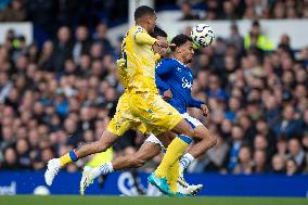 Everton FC v Crystal Palace FC - Premier League