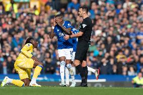 Everton FC v Crystal Palace FC - Premier League