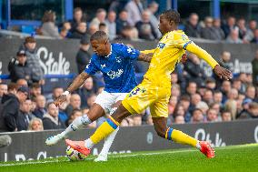 Everton FC v Crystal Palace FC - Premier League