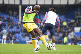 Everton FC v Crystal Palace FC - Premier League