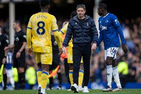 Everton FC v Crystal Palace FC - Premier League