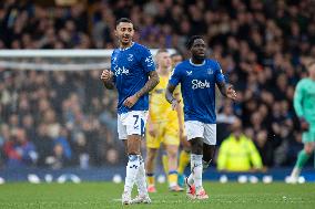 Everton FC v Crystal Palace FC - Premier League