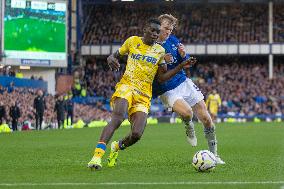 Everton FC v Crystal Palace FC - Premier League