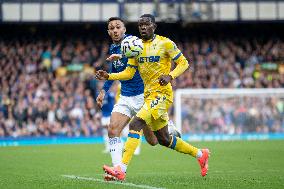 Everton FC v Crystal Palace FC - Premier League