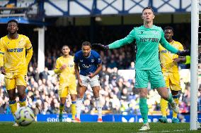 Everton FC v Crystal Palace FC - Premier League