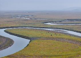 Winding Mogoler River