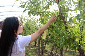 Foreigners in China